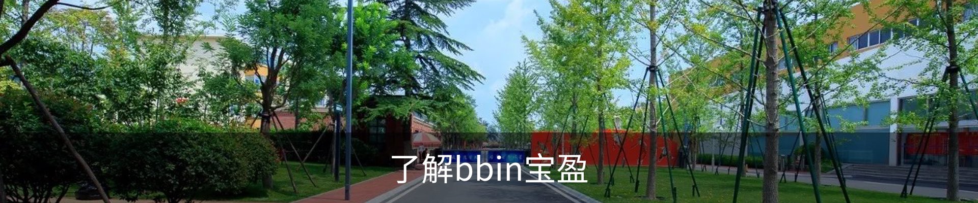 了解bbin宝盈
